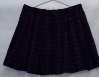 Falda T. 6 Subercaseaux